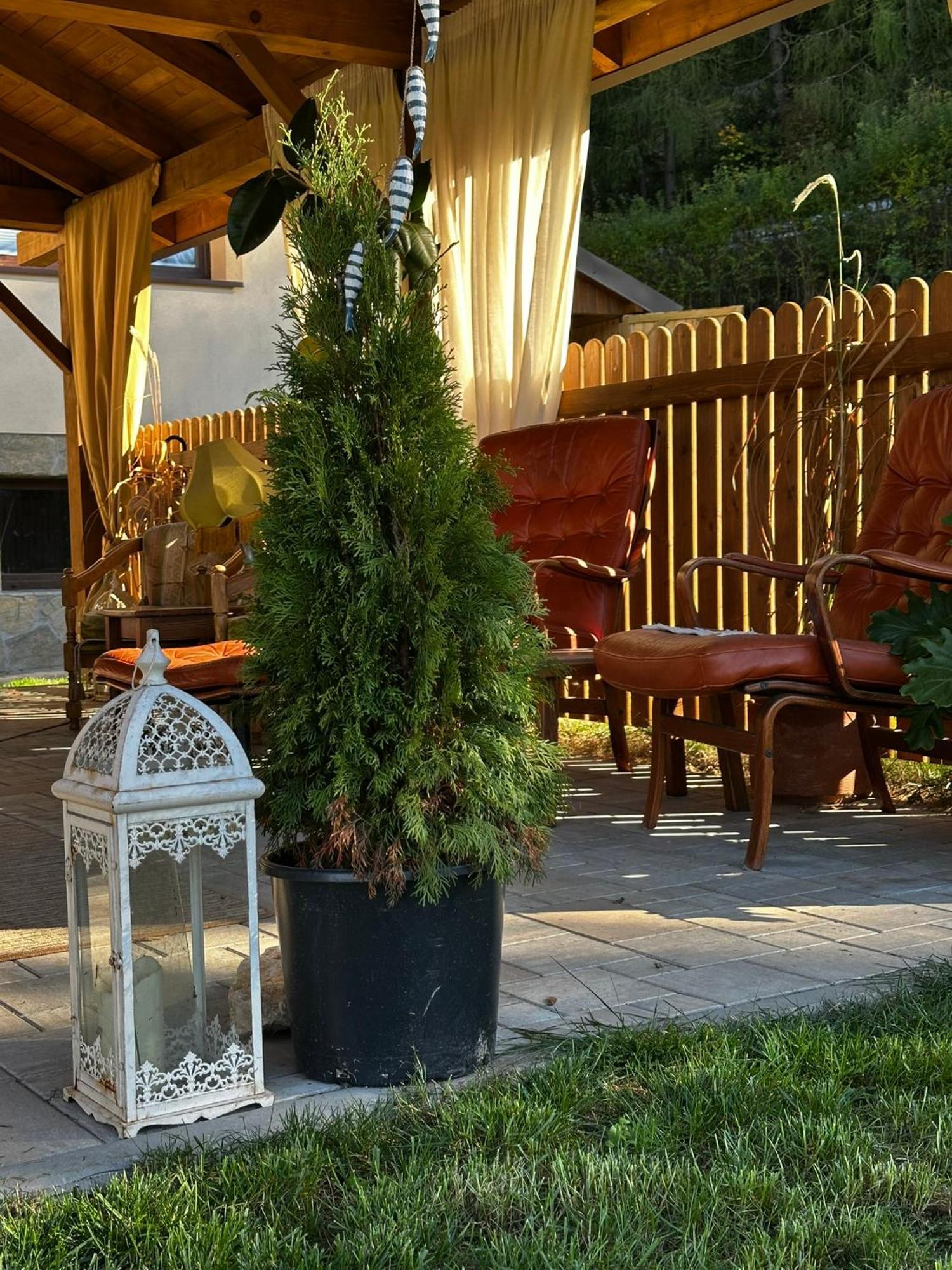 Hotel Gosciniec Stara Szkola Haluszowa Exterior foto